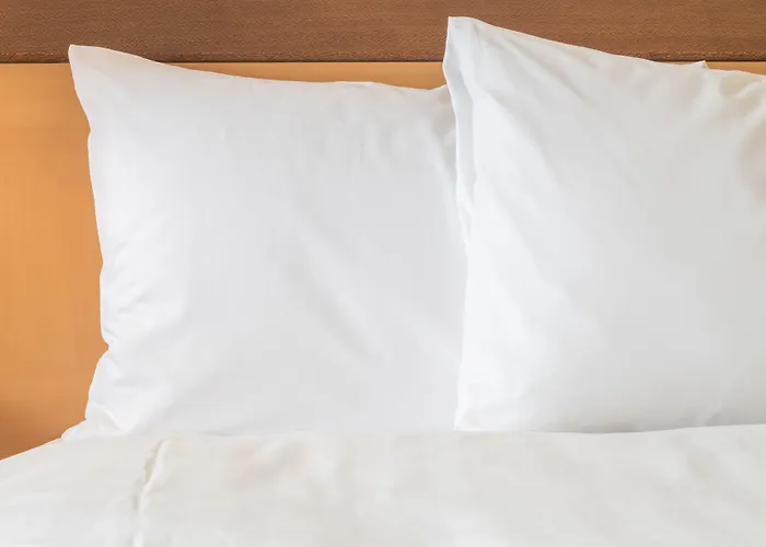 Express Frankfurt Messe By Ihg Hotel